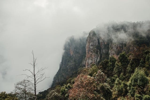 Kodaikanal Tour Package from Coimbatore
